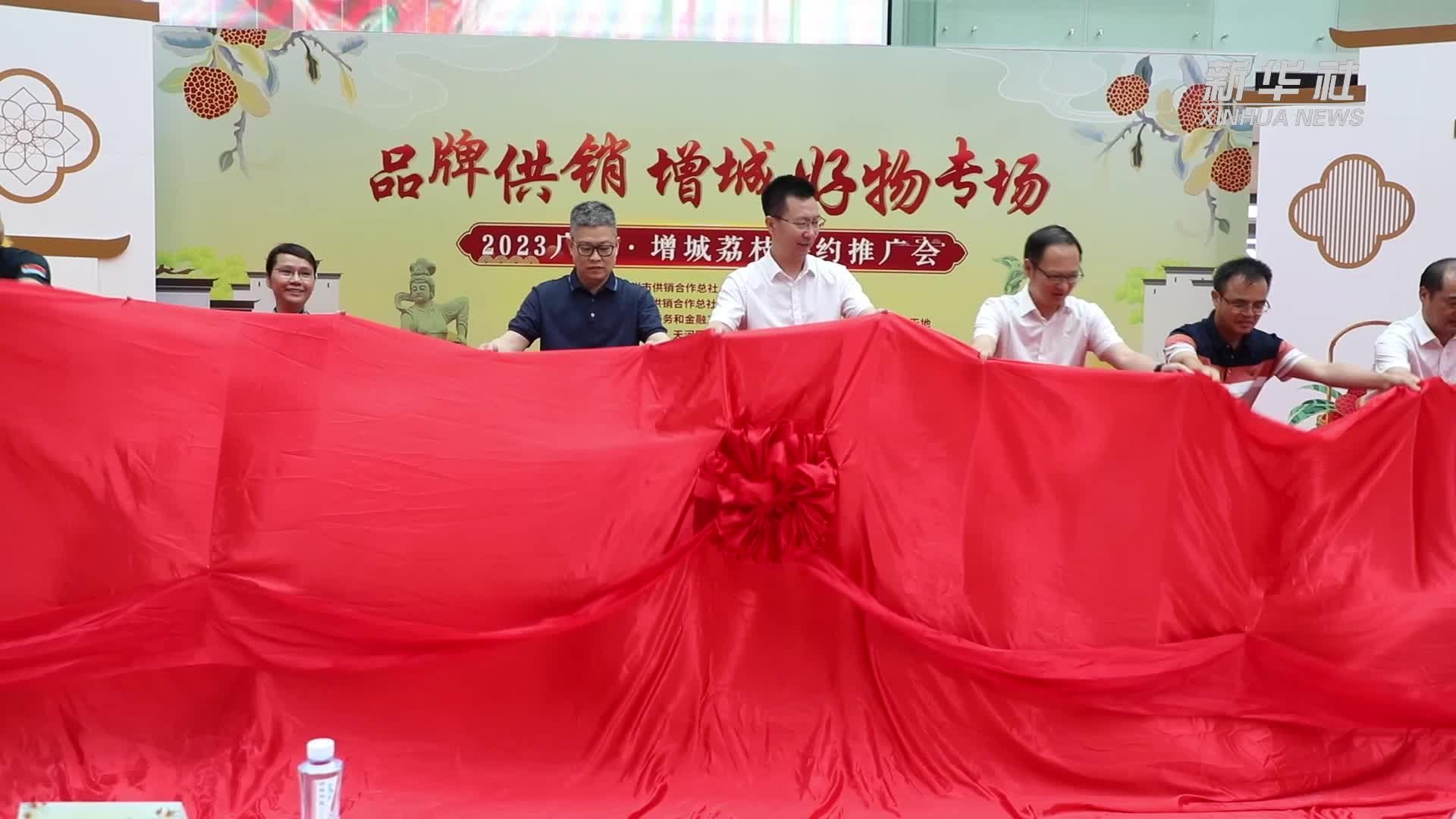 广州增城举行荔枝签约推广会