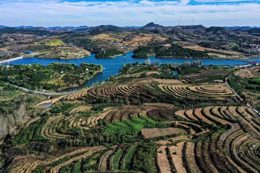 第三届中国乡村振兴鲁村论坛暨第十一届中国农业经营创新论坛在沂源盛大开幕