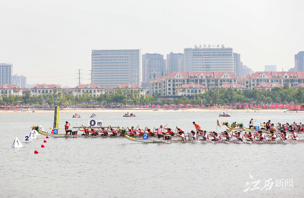 高清大图 | 南昌国际龙舟赛精彩瞬间