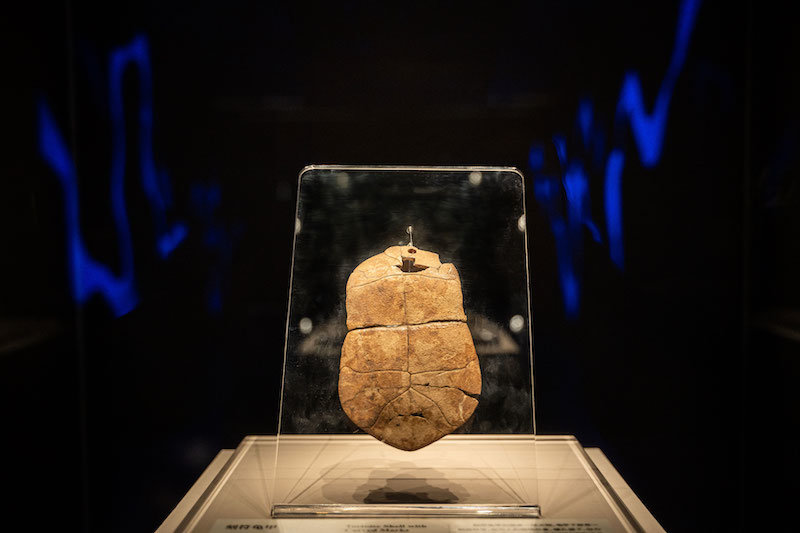刻符龟甲 裴李岗文化(距今约8000年-7000年)河南博物院藏