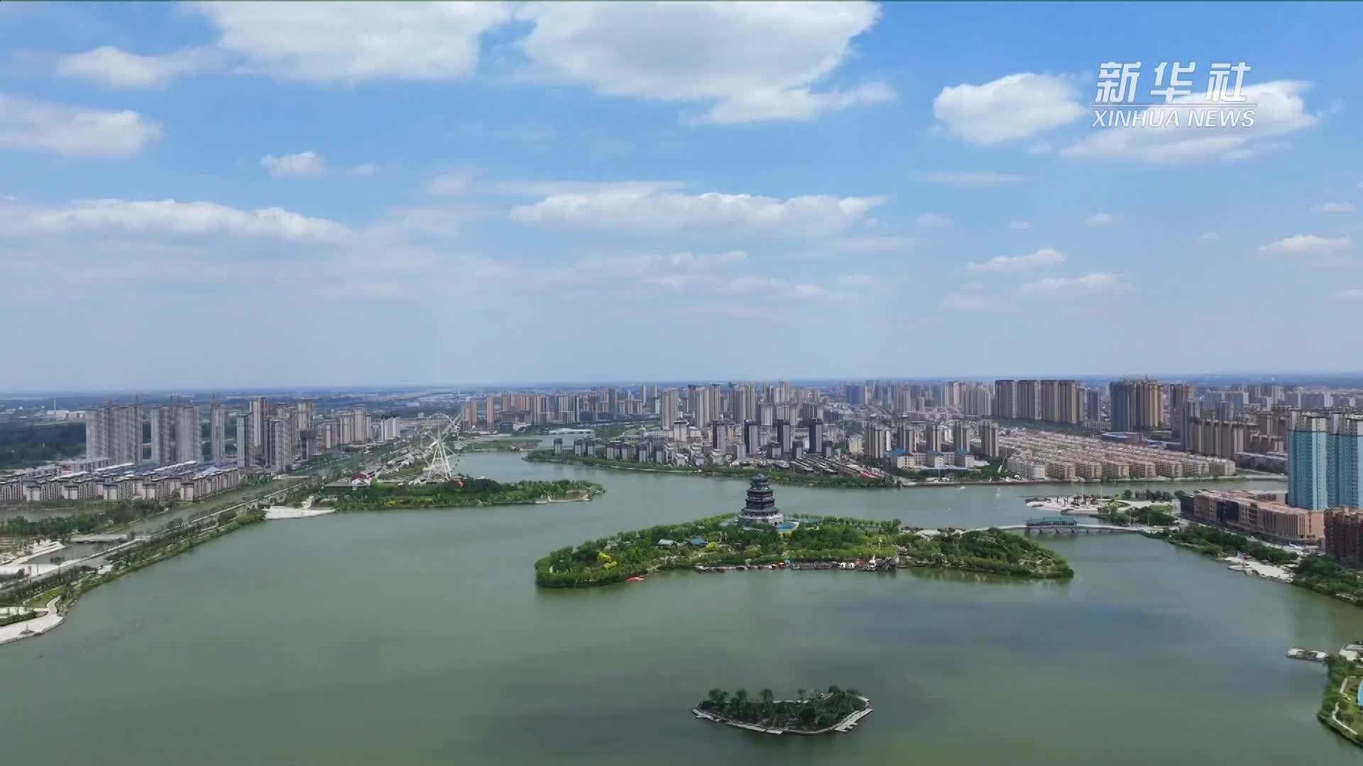 四季旅行｜山东成武：湿地生态美 飞鸟入画来