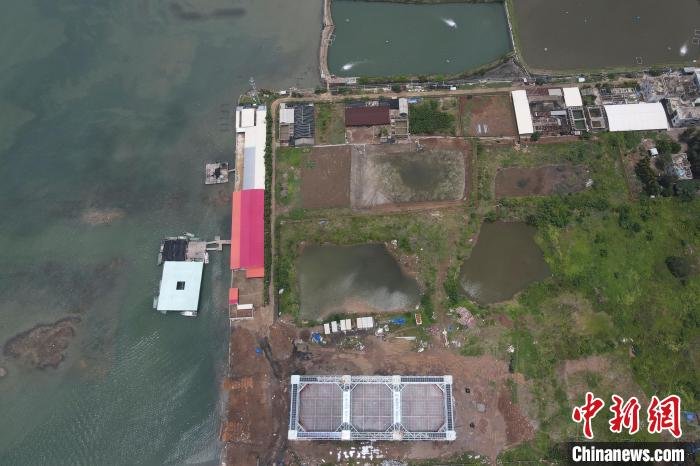 航拍“海威2号”半潜桁架式渔业智能养殖平台。　田雨昊 摄