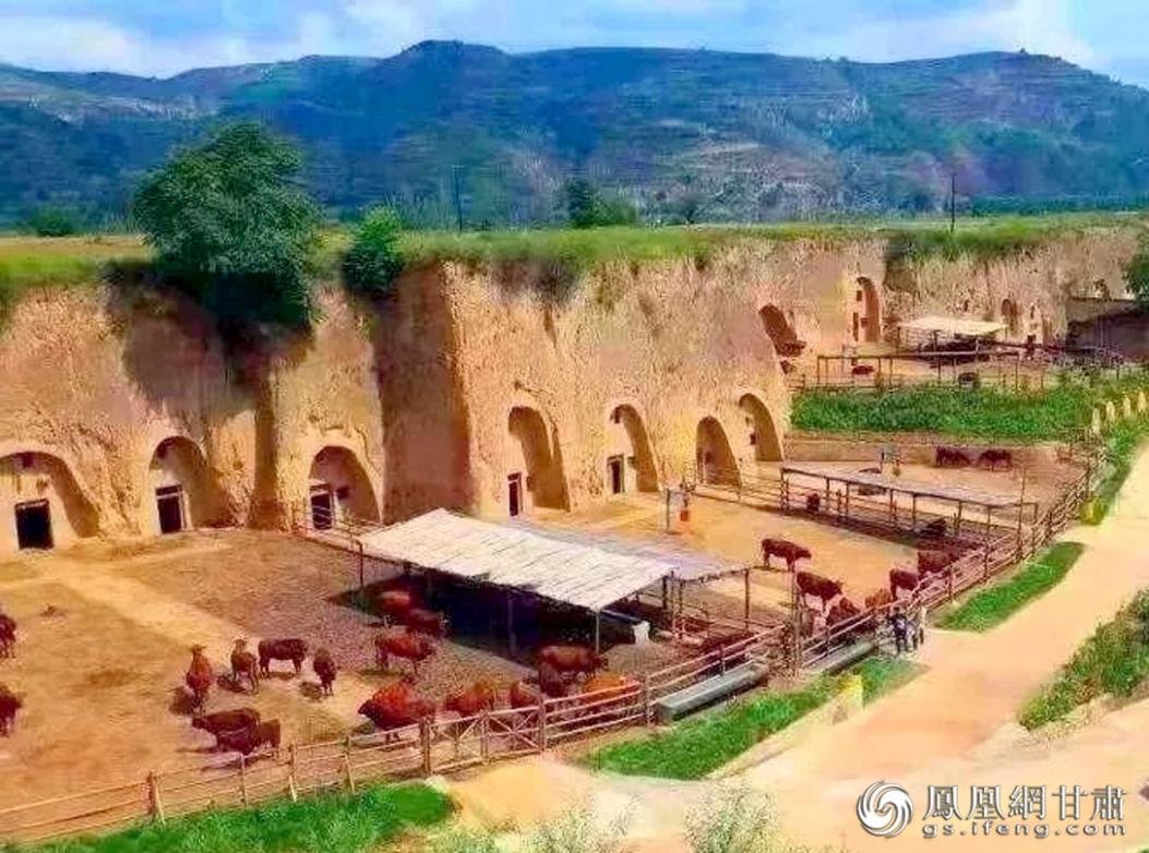锦屏镇平头沟窑洞养牛发源地 崇信县委宣传部供图