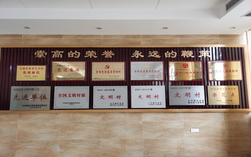 健康村获奖荣誉墙