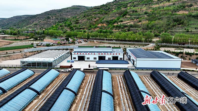 庄浪河流域农业综合开发示范园