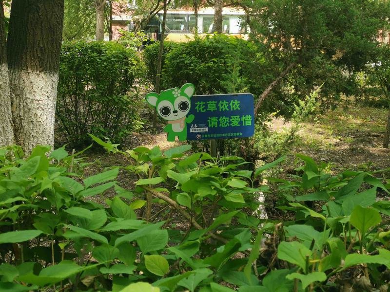 在共青团花园内多个位置都有引导市民文明旅游的指示牌。（于悦摄）