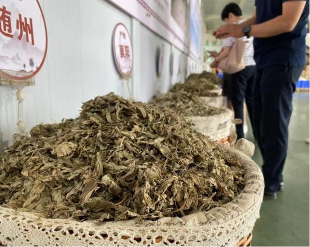 车间里放的艾叶。李桂兰摄