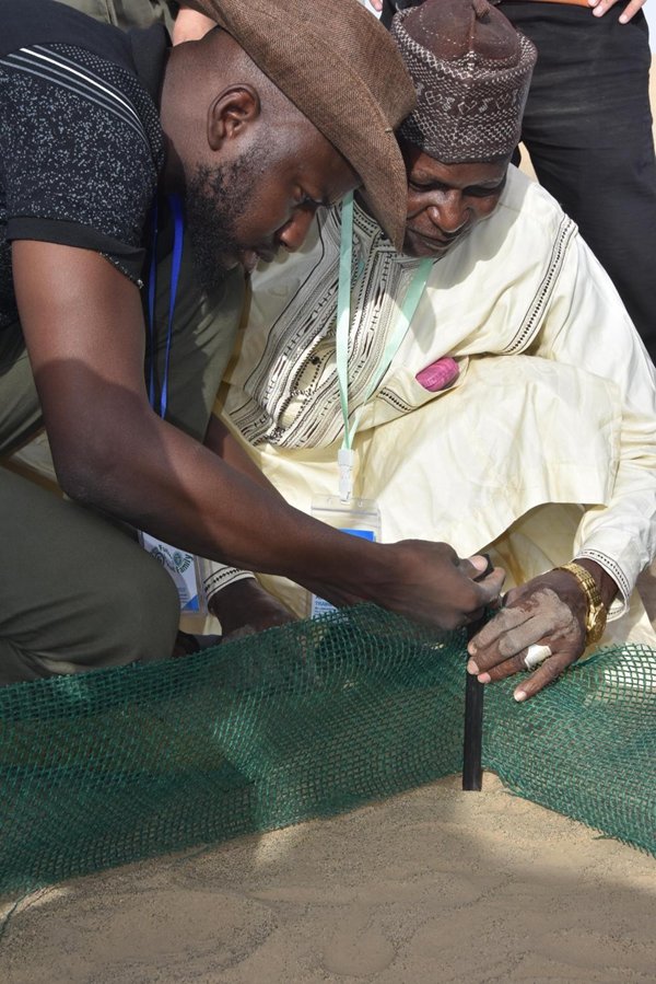 6月12日，在塔克拉玛干沙漠机械防沙示范区，中方专家向非洲学员示范新型防沙网的安装过程。新华社记者 张晓龙 摄