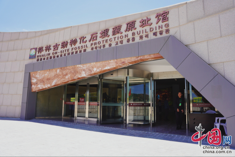图片6