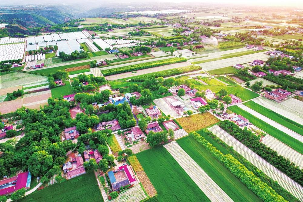 6月7日,航拍下的庆阳市西峰区田园风光。行走在董志塬广袤的大地上,放眼望去,满眼皆绿的画面令人赏心悦目。新甘肃·甘肃经济日报通讯员 李泳宏 摄