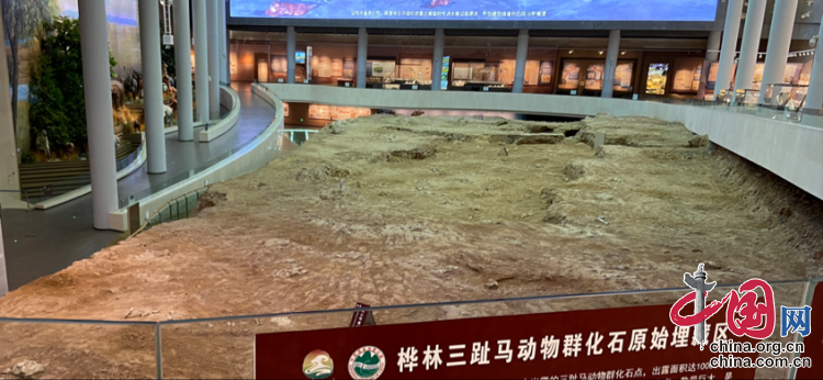 图片9