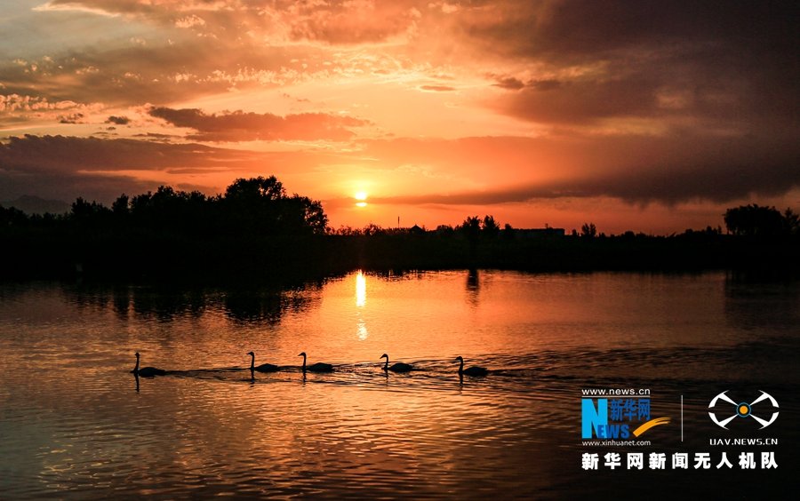 张掖“城市之肺”：波光潋滟满目景