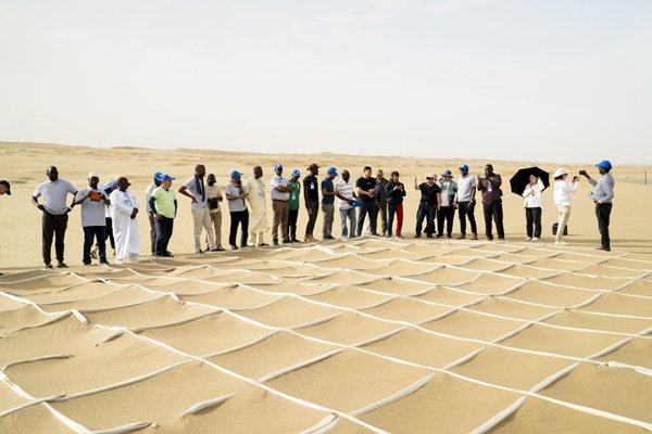 6月12日，在塔克拉玛干沙漠机械防沙示范区，非洲和中亚学员参观固沙新技术。新华社记者 周生斌 摄