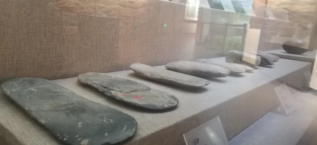 ▲石铲本报记者 禹舸摄