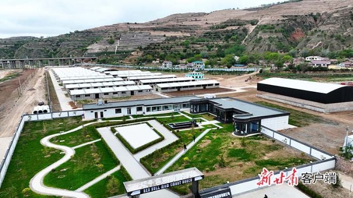 南湖镇2000头平凉红牛养殖小区