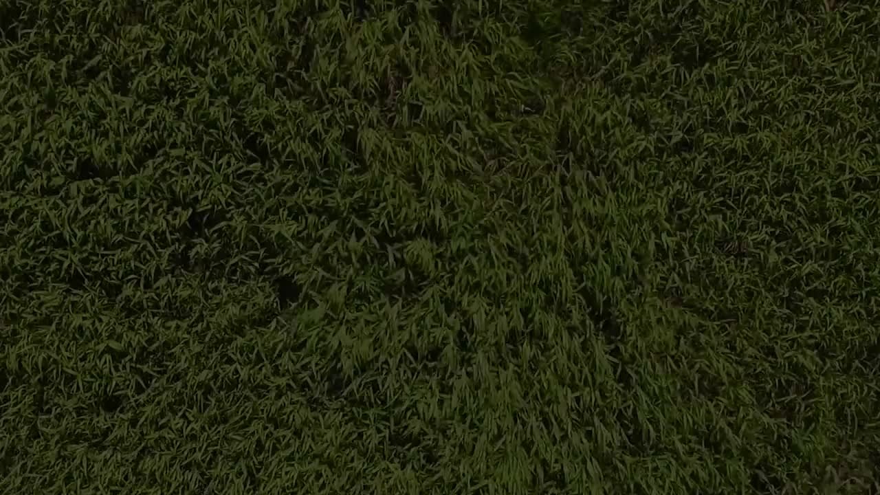 首席气候官丨专访中国可再生能源学会风能专业委员会秘书长秦海岩：实现碳中和目标，2050年风电装机要超30亿千瓦