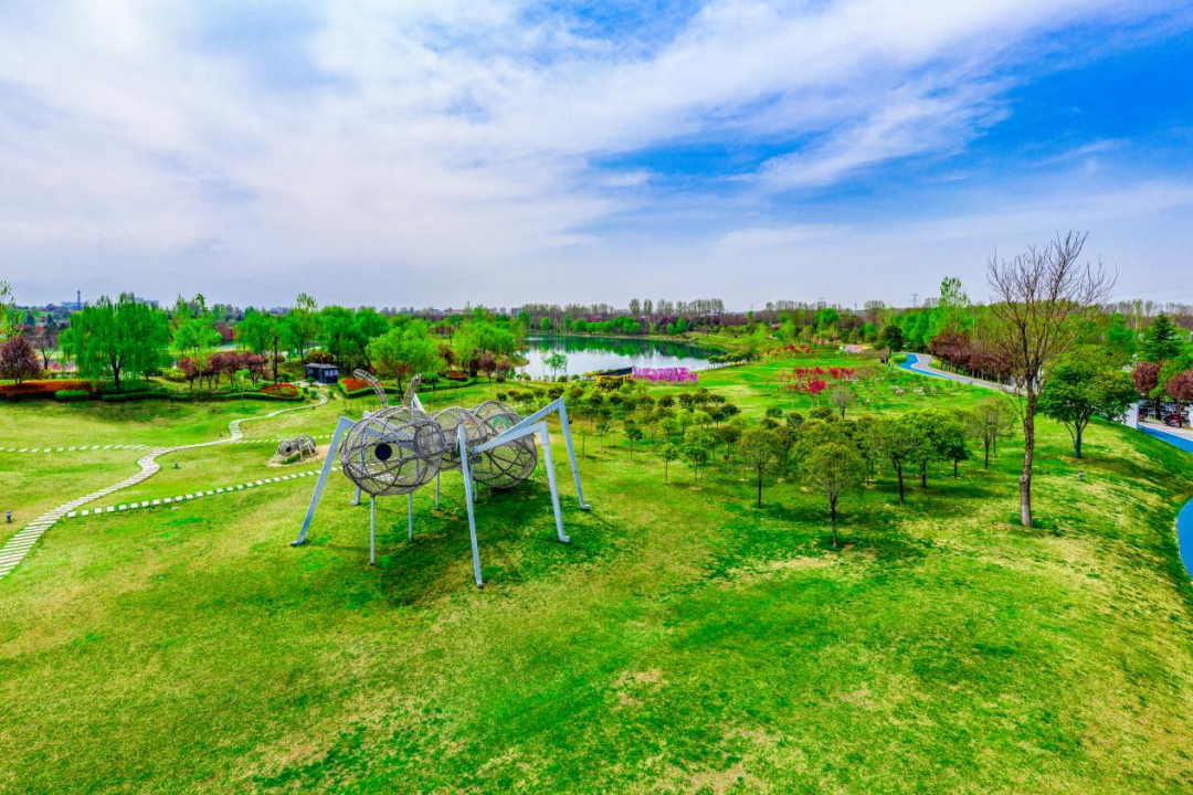 丝路科学城2周年从一张蓝图到形象已显