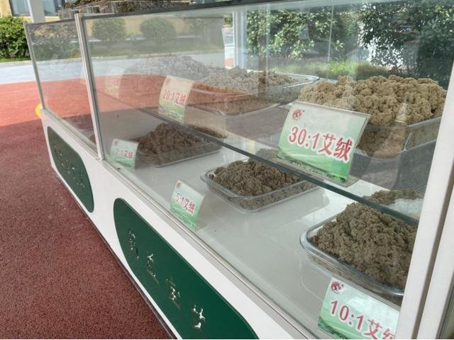 30:1以上的艾绒被称为黄金艾绒。李桂兰摄