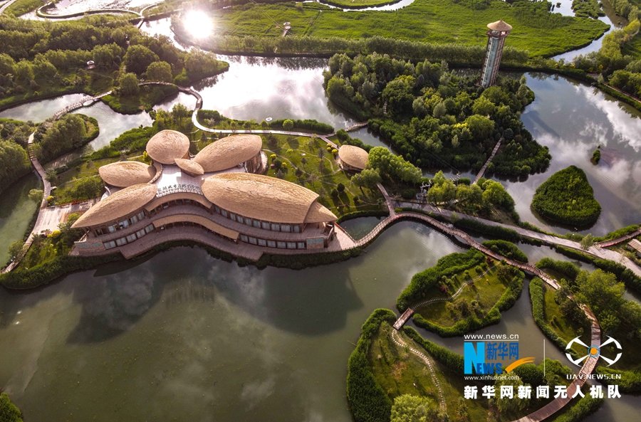 夏日里的甘肃省张掖国家湿地公园满目青翠、碧水蓝湾，成为市民游玩赏景的好去处。新华网发（陈礼 摄）