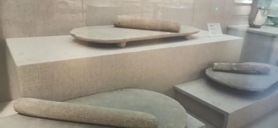 ▲石磨盘和石磨 本报记者 禹舸 摄