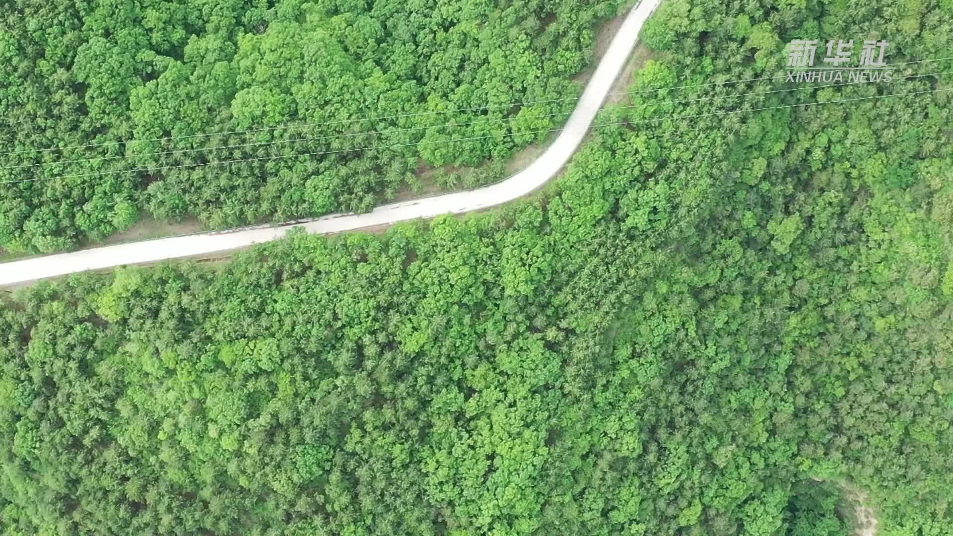 护林员赵建平：一把铁锹，三十二年，守护千亩林海