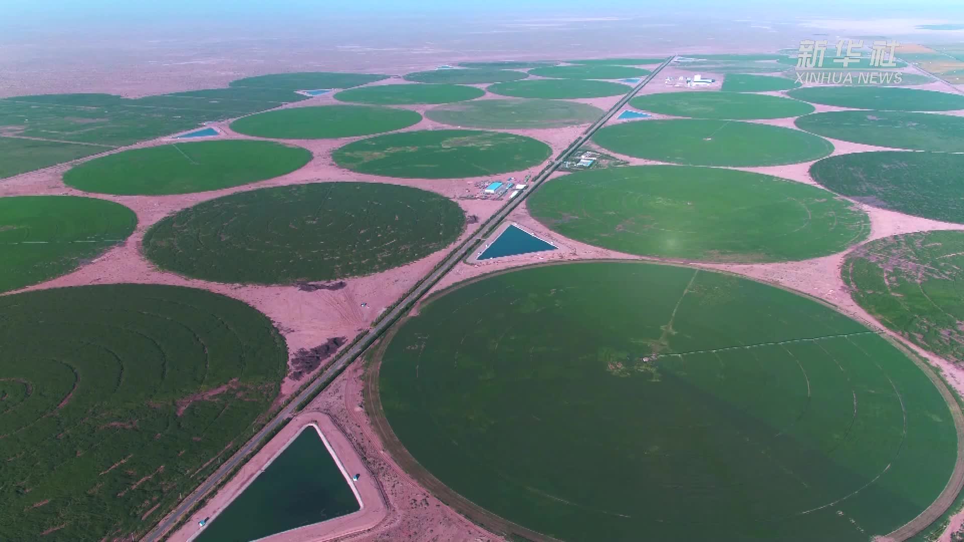 内蒙古磴口县：生态治理让210万亩乌兰布和沙漠披上“绿装”