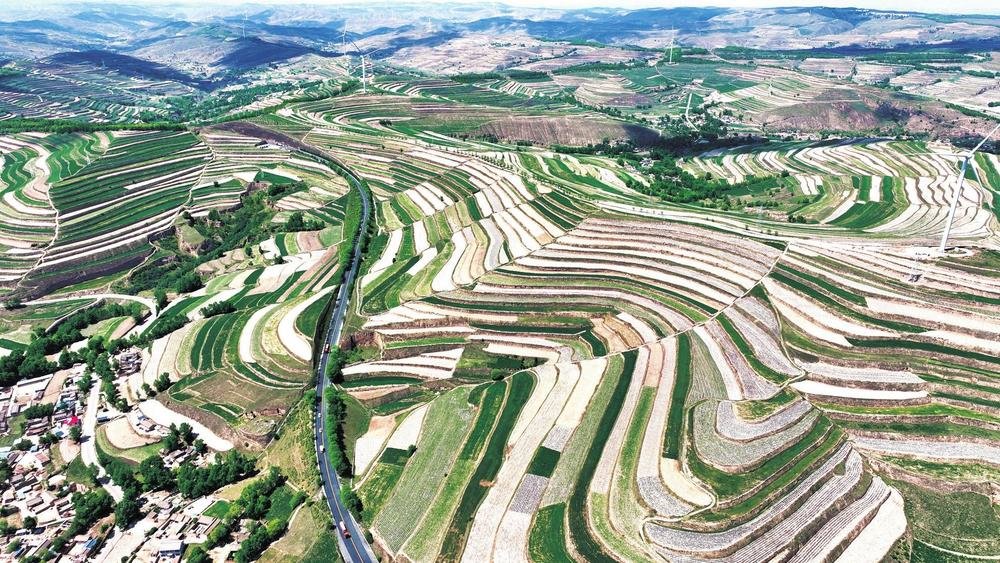仲夏时节,走进陇中通渭大地,层层梯田绿白相间,翠绿的树林与和美乡村点缀在山间梁峁,勾勒出一幅农业兴盛、生态优美、乡村振兴的时代新画卷。新甘肃·甘肃经济日报 通讯员 张文博 摄