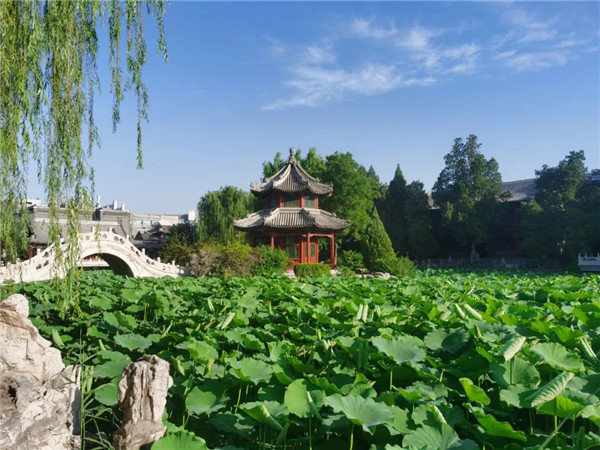 图1：来自“保定市莲池书院研究会”