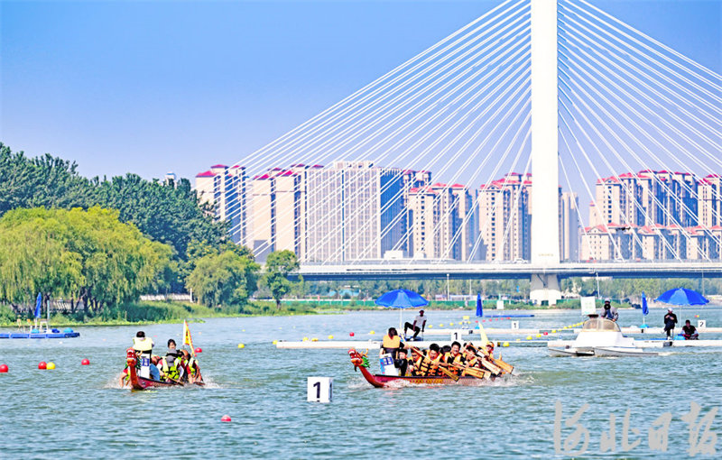 6月22日，在石家庄太平河水面，龙舟队在水面竞渡。