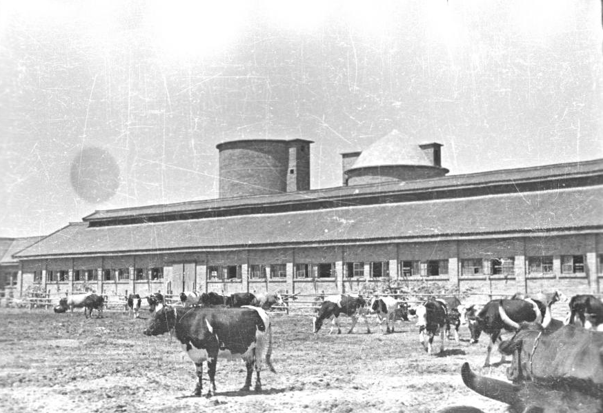 ⊙早期草滩农场