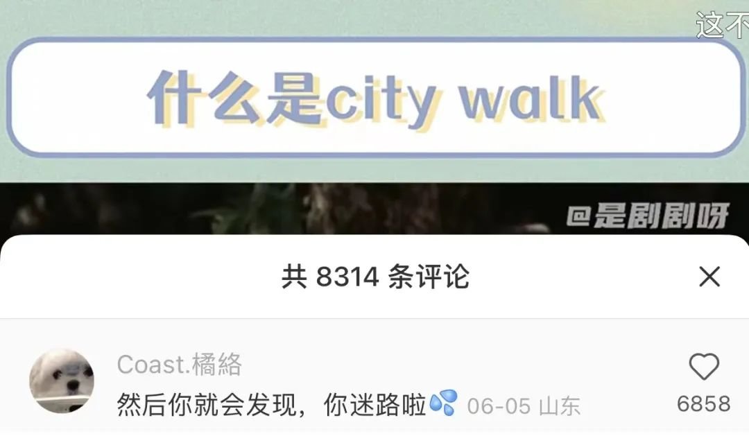 图源：小红书@是剧剧呀 笔记评论区截图