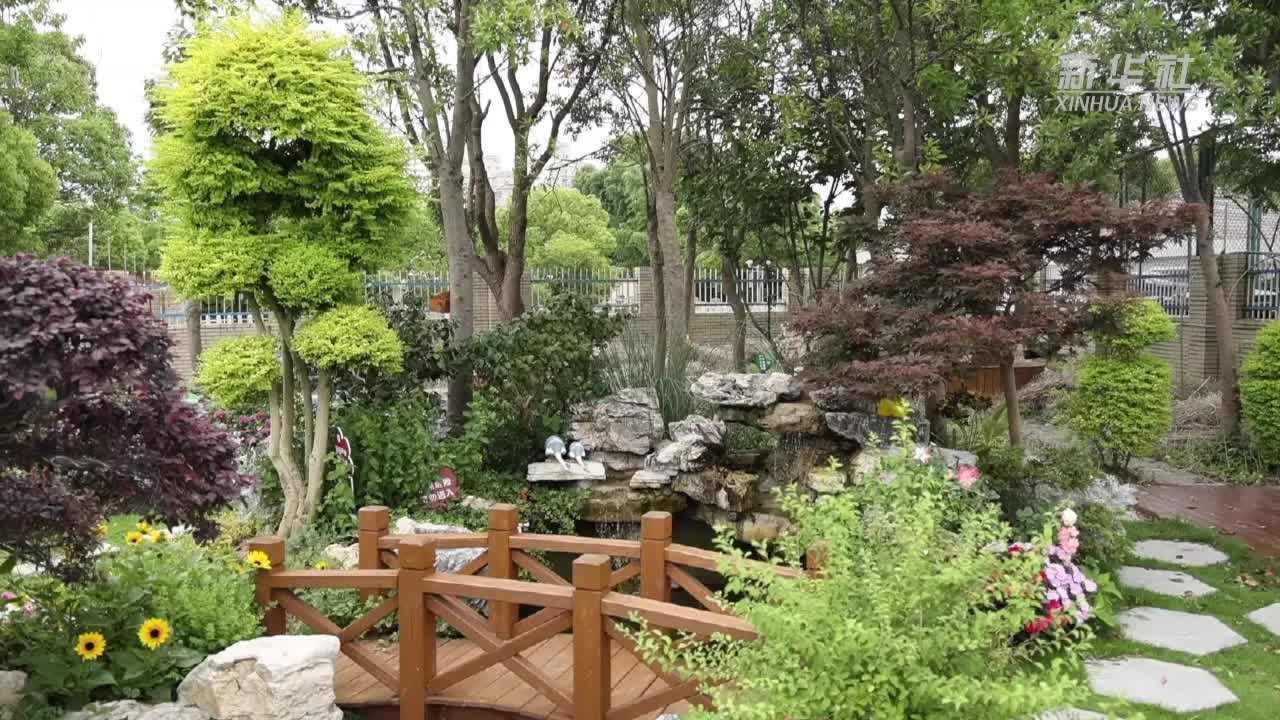 吃粽子、挂艾草、赛龙舟，走近端午传统文化