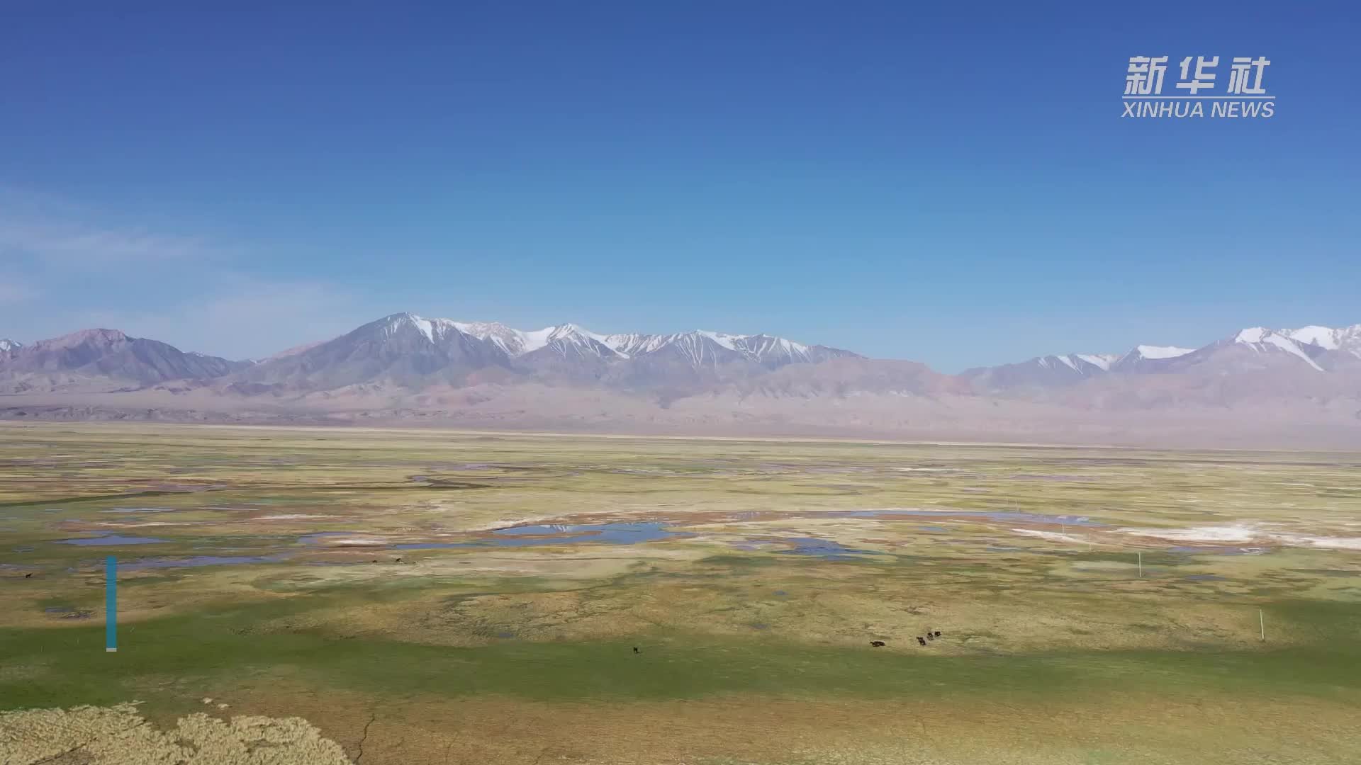 壮美盐池湾湿地