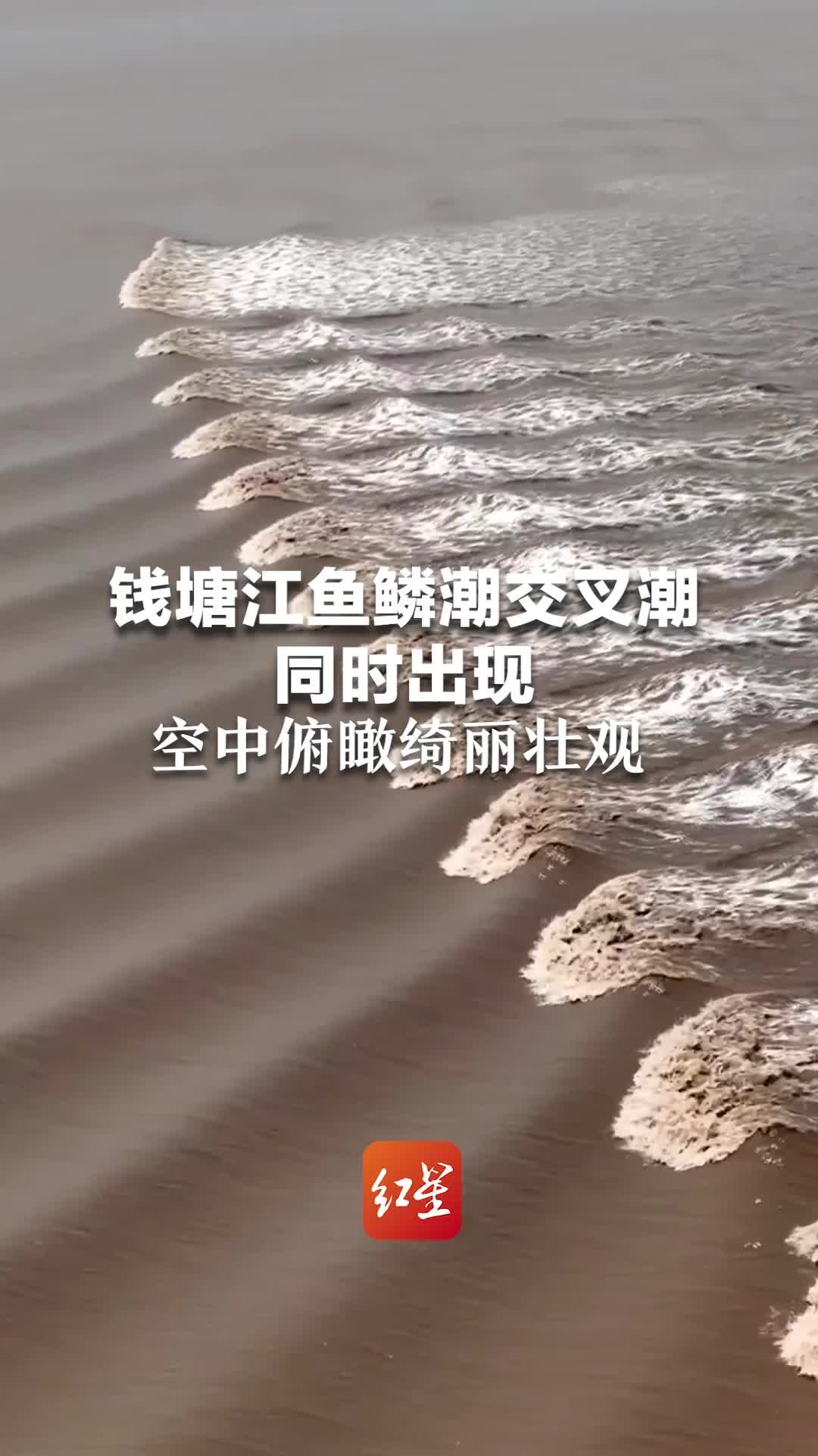 钱塘江鱼鳞潮交叉潮同时出现 空中俯瞰绮丽壮观