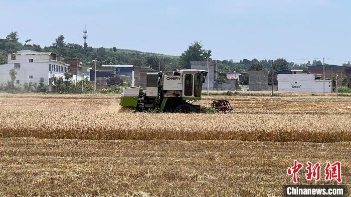 ge25小麦收割机参数图片