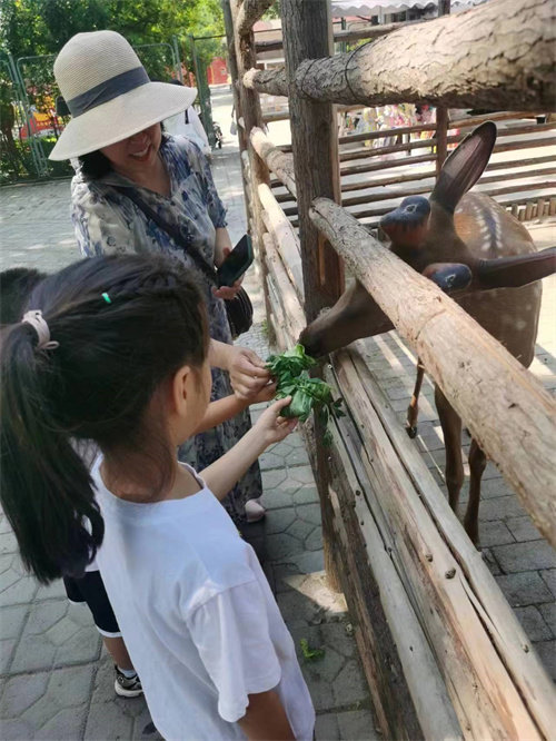 保定市动物园开展“欢乐端午节 ‘粽’情动物宴”活动