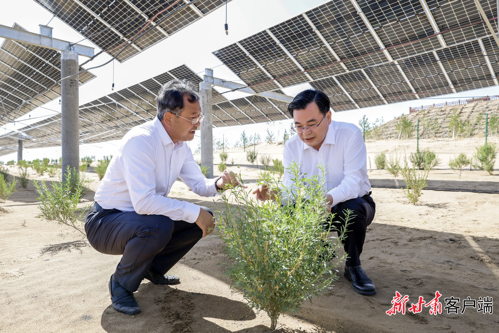 6月19日至21日，省委书记、省人大常委会主任胡昌升围绕加强荒漠化综合防治和推进“三北”等重点生态工程建设，在民勤县开展主题教育蹲点调研。新甘肃·甘肃日报记者 孟捷