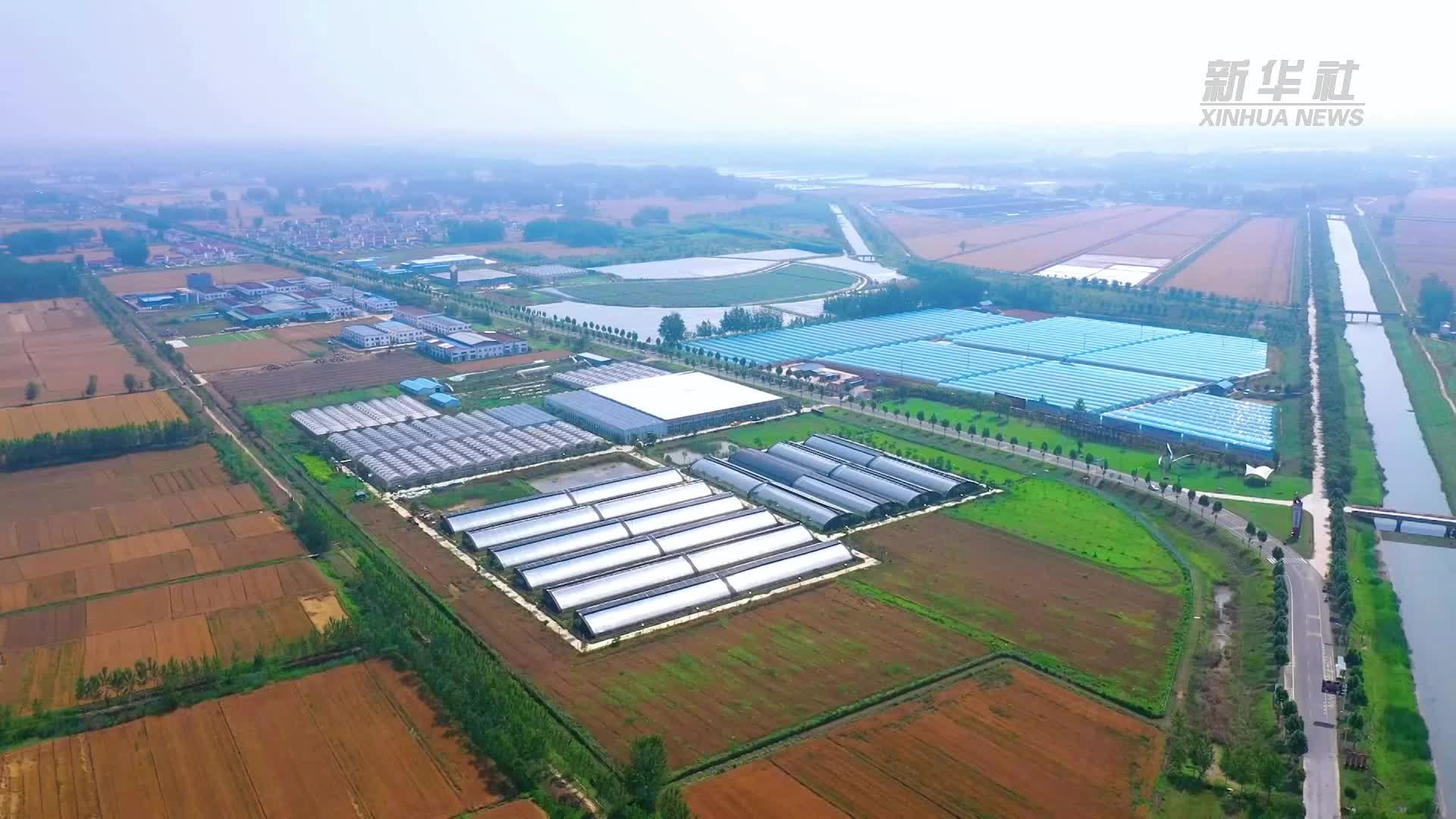 江苏淮安：发展智慧农业 助力乡村振兴