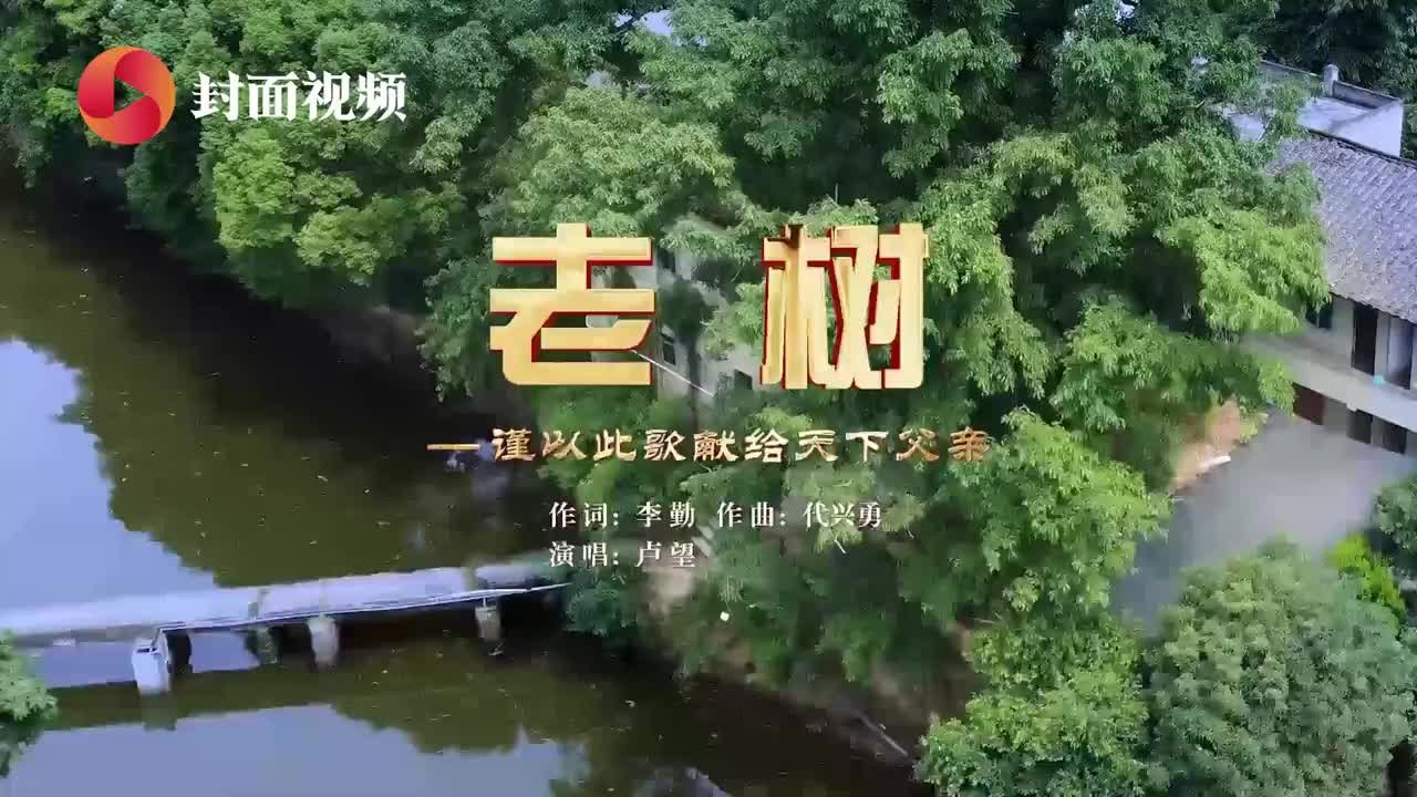 父亲节来临之际 重庆璧山原创音乐MV《老树》正式发布