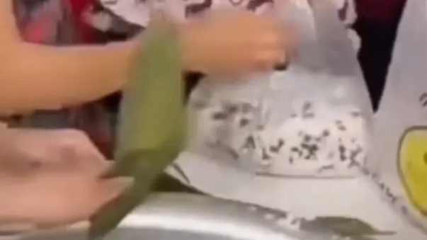 社区包粽子大赛遭哄抢，部分大妈把米打包带走，一大妈暴走掀盆：包个锤子包