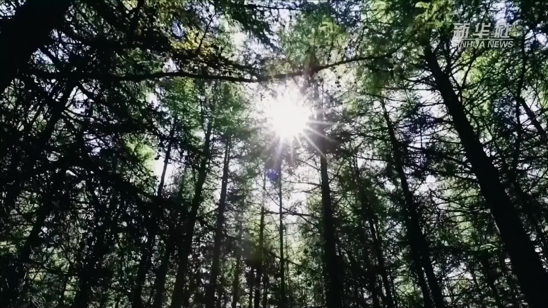 四季旅行·印象内蒙古｜光影武川