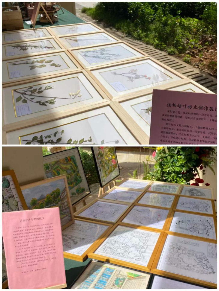 技能立身 匠心助农|赣州职业技术学院现代农林工程系举行教学成果作品展