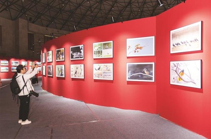 “生态孝义”2023年书画摄影作品展在孝义市体育馆开展
