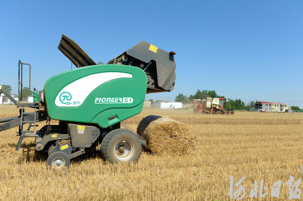 宁晋县农机手驾驶机械在麦田里作业，将麦秸打捆回收。