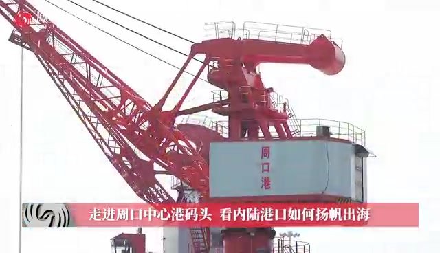 “临港新城 开放前沿——主流媒体周口行”主题宣传活动走进周口中心港码头