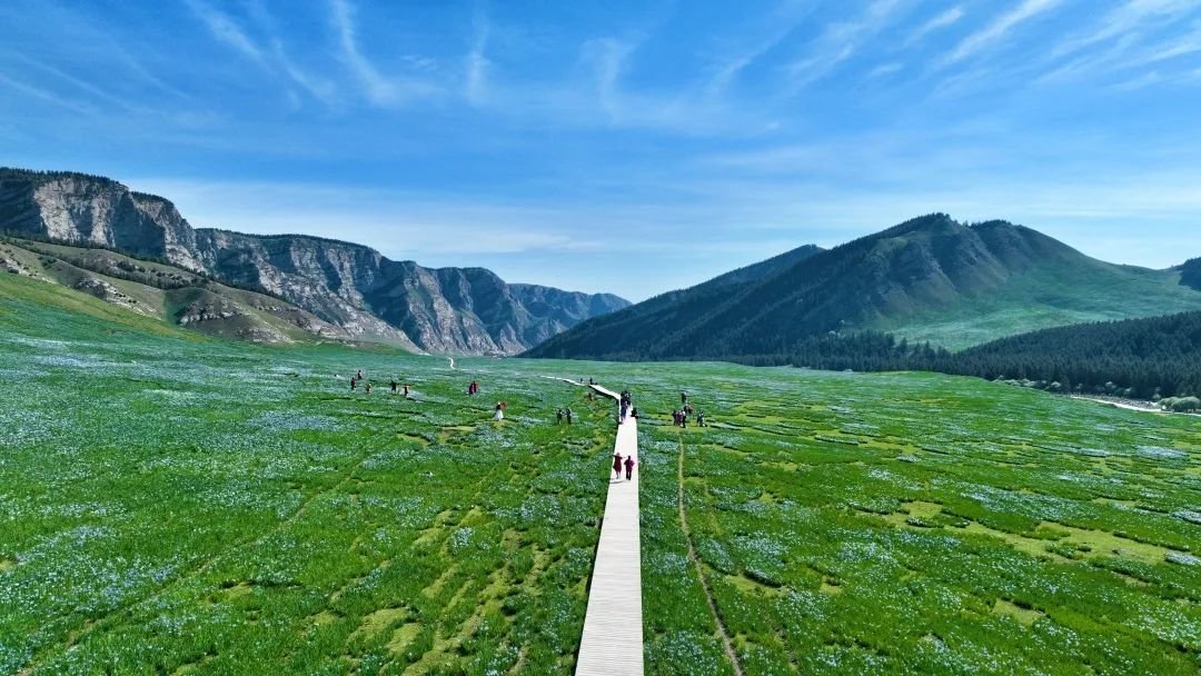 祁连山冰沟河景区图片