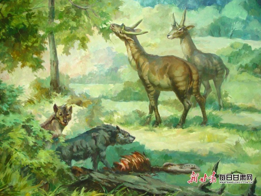 巨鬣狗觊觎古长颈鹿（李荣山绘）