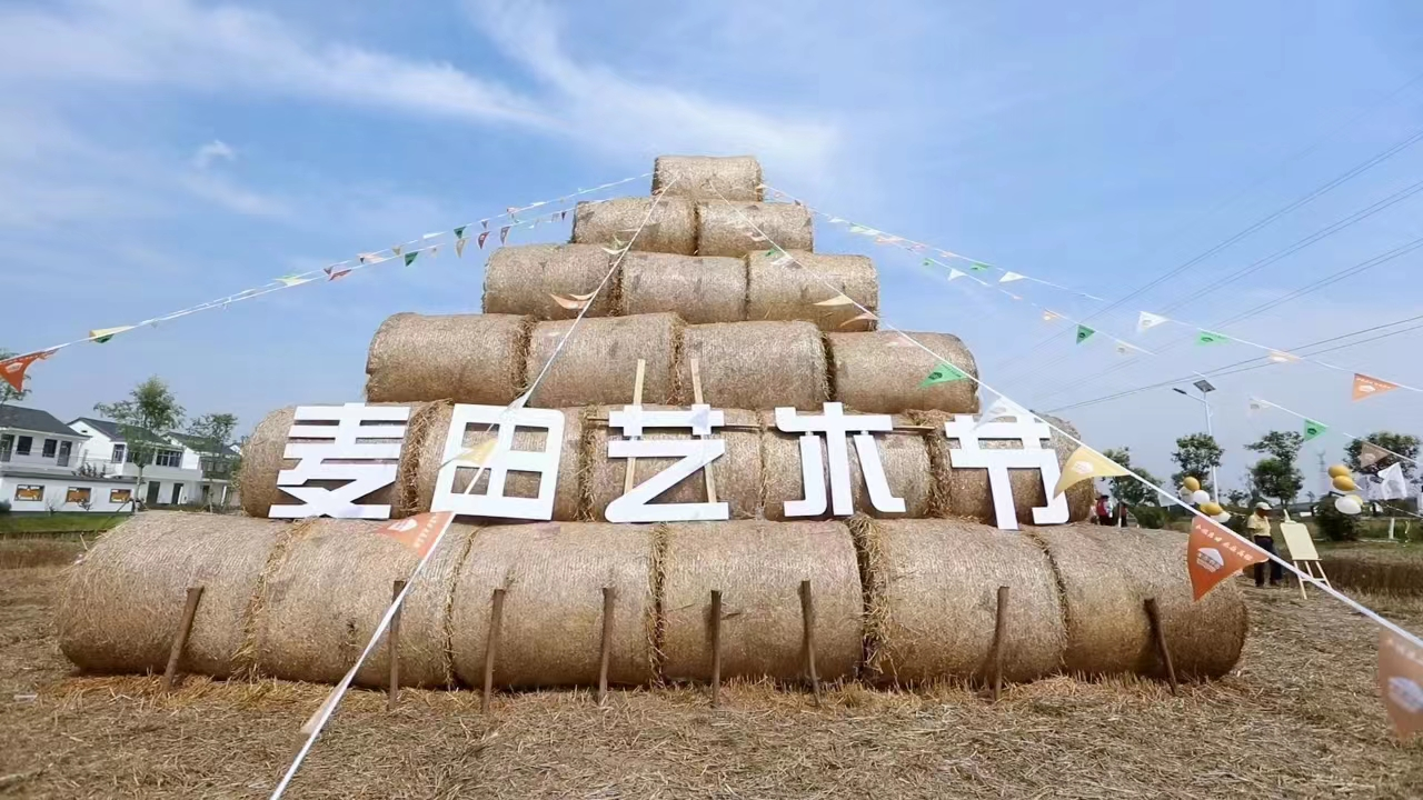 江苏滨海端午麦田艺术节异彩纷呈