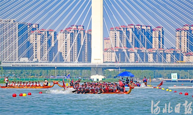 6月22日，在石家庄太平河水面，龙舟队在水面竞渡。