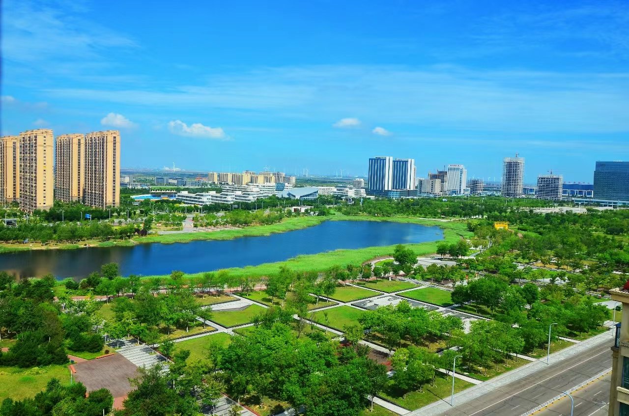 潍坊滨海区:昔日荒芜盐碱滩 如今披绿换新颜